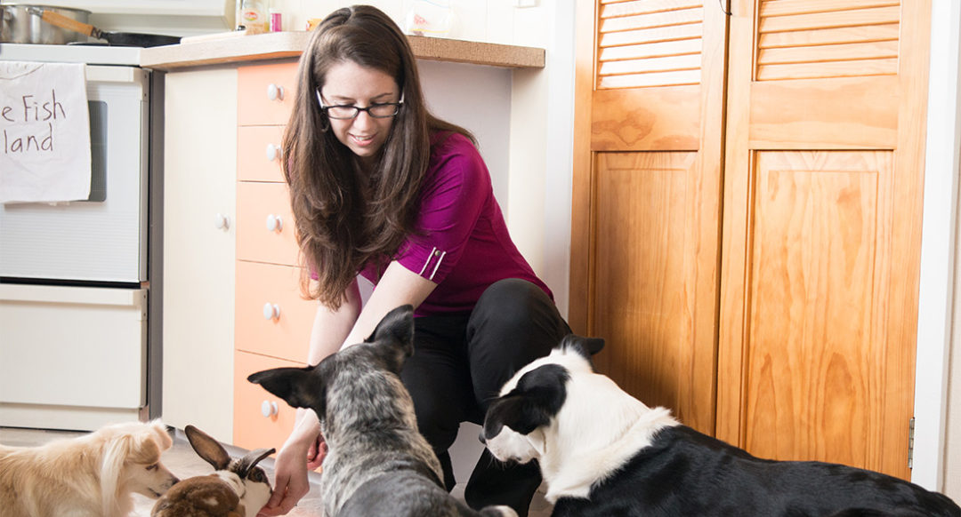 Contact Clare Browne Browne Dog Consulting Animal Behaviourist